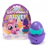 Hatchimals Neónová duha jedno balení