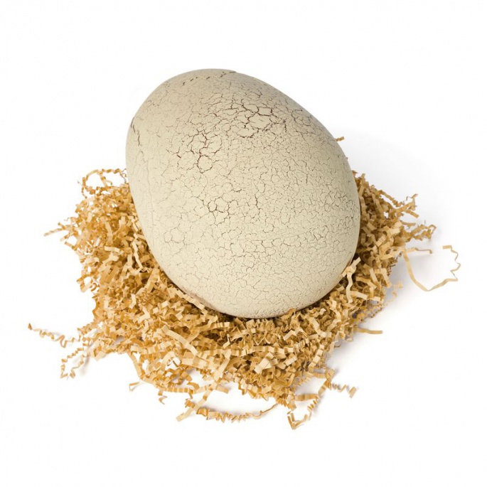 Výhodný set: Dino interaktivní T-rex líhnoucí se z vejce + Bitzee Jurský svět s dinosaury