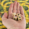 Spin Master Games společenská hra Jumanji - česká verze