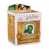 Harry Potter mini figurka v rámečku Zlatoslav Lockhart